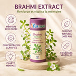 Extrait Brahmi Bacopa Monnieri vegan 60 gélules Ayurvana - Mémoire et concentration