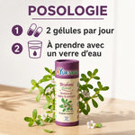 Brahmi Extrait Bacopa Monnieri 60 gélules Ayurvana avec posologie et plantes fraîches
