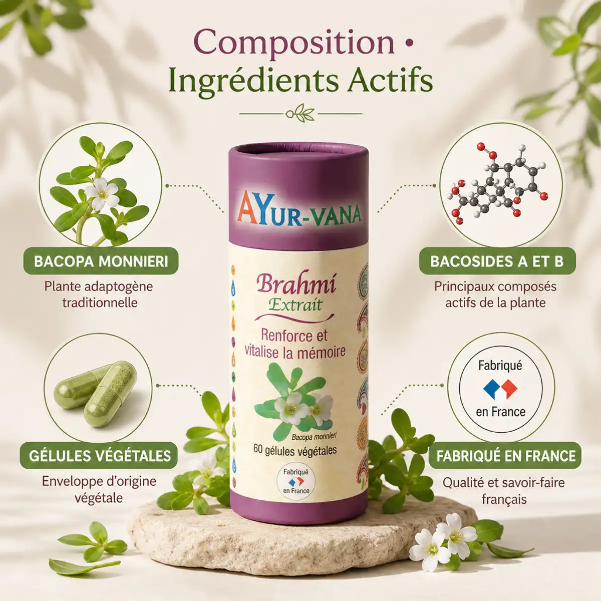 Flacon Brahmi Extrait Bacopa Monnieri 60 gélules végétales Ayurvana avec ingrédients actifs