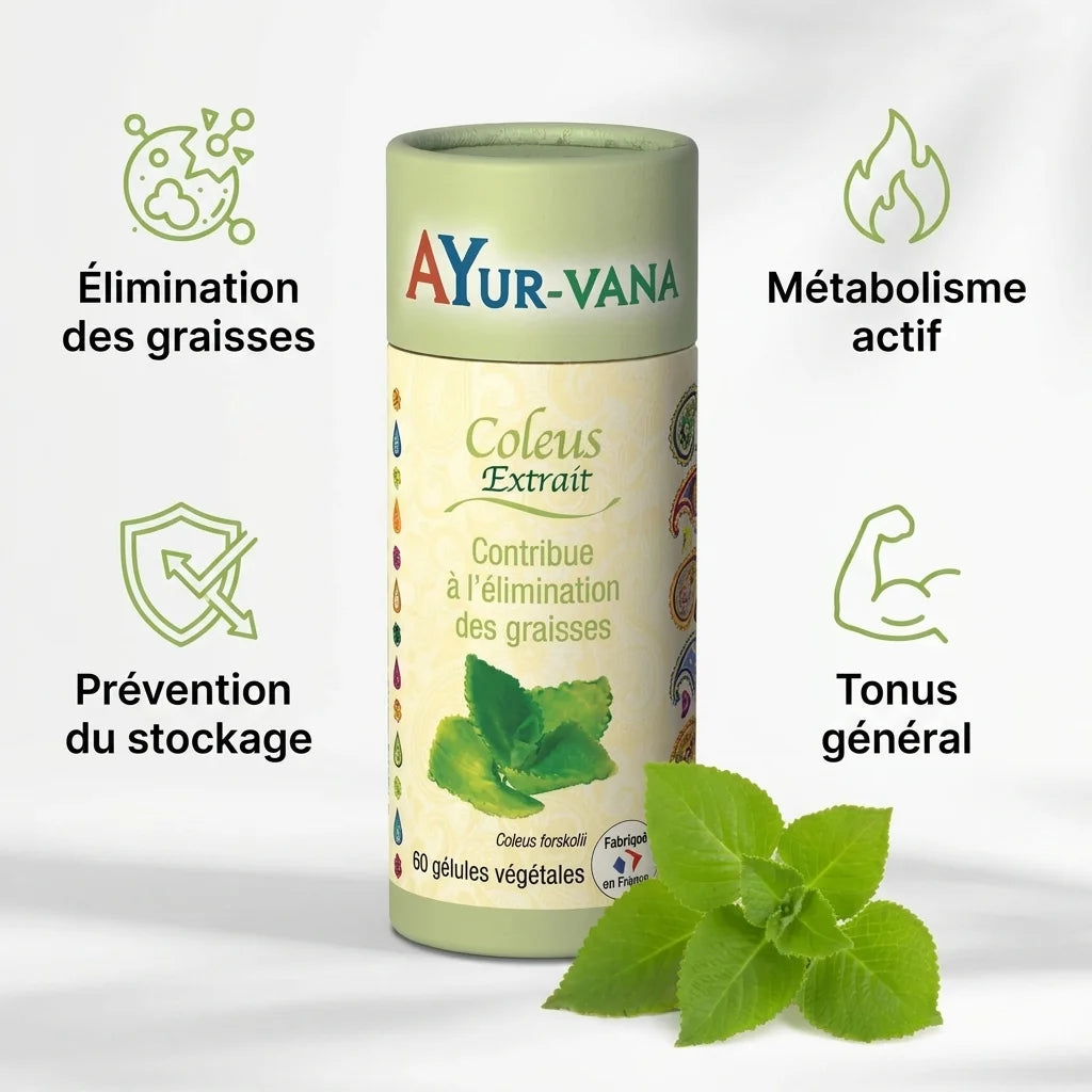 Extrait Coleus Forskohlii vegan en gélules Ayurvana avec bénéfices métabolisme et élimination graisses