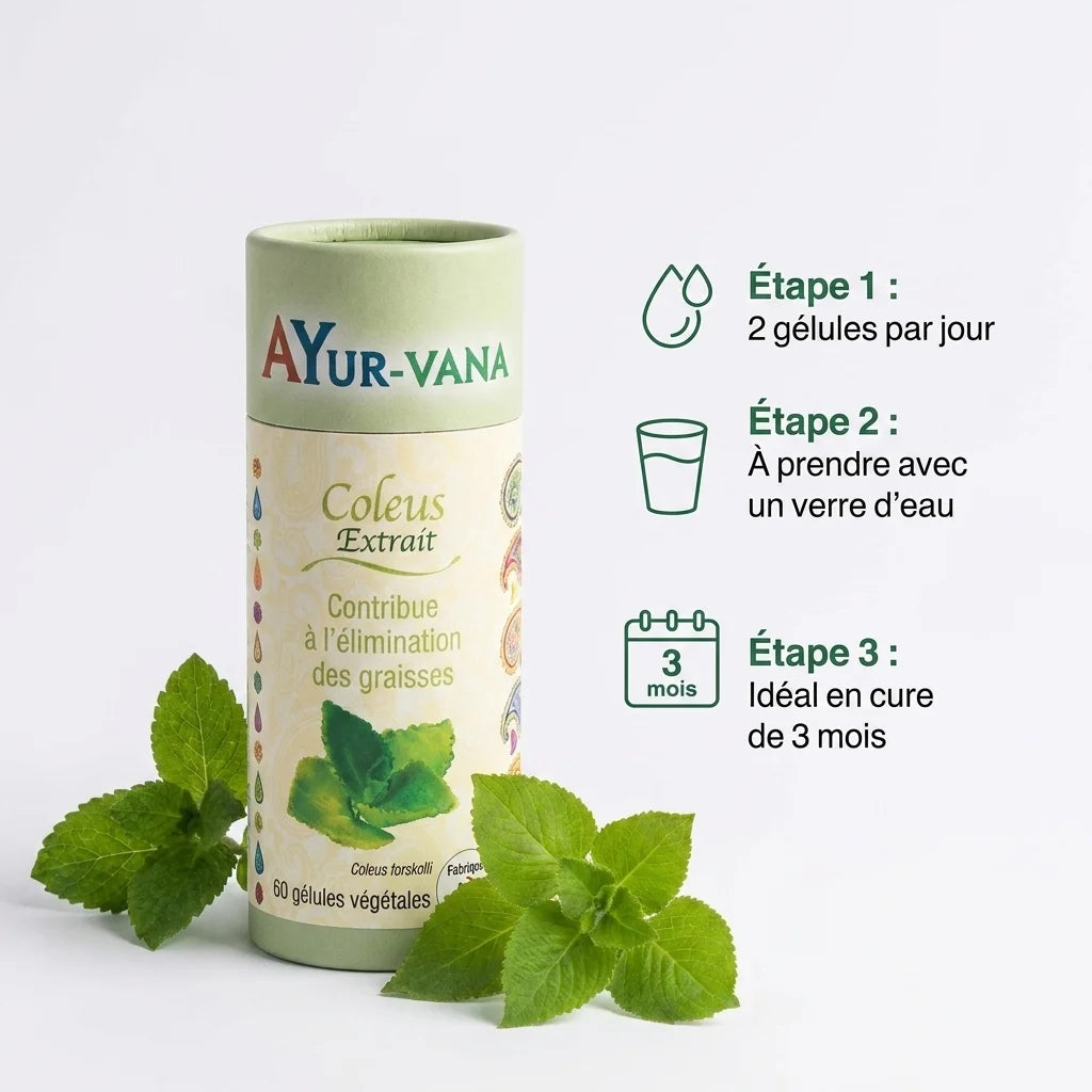 Extrait Coleus Forskohlii Ayurvana en gélules avec guide posologie 3 étapes