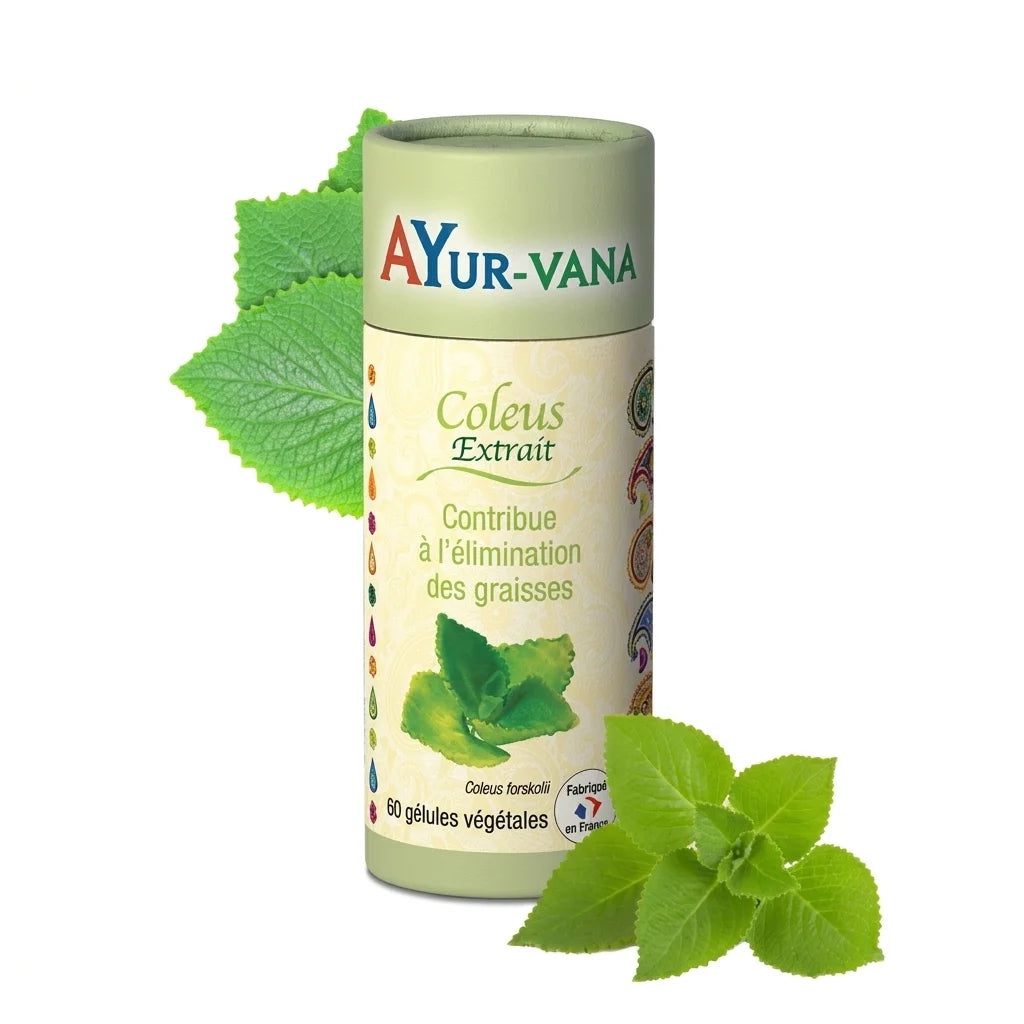 Extrait Coleus Forskohlii Ayurvana en gélules vegan - Flacon 60 capsules