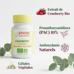 Extrait Cranberry bio en gélules végétales avec PAC - Supplément antioxydant naturel Graine Sauvage
