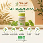 Centella asiatica bio en gélules avec infographie des bénéfices : mémoire, concentration, stress et peau