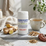Flacon de Cordyceps Bio Qualidiet avec gingembre frais et tisane adaptogène sur marbre
