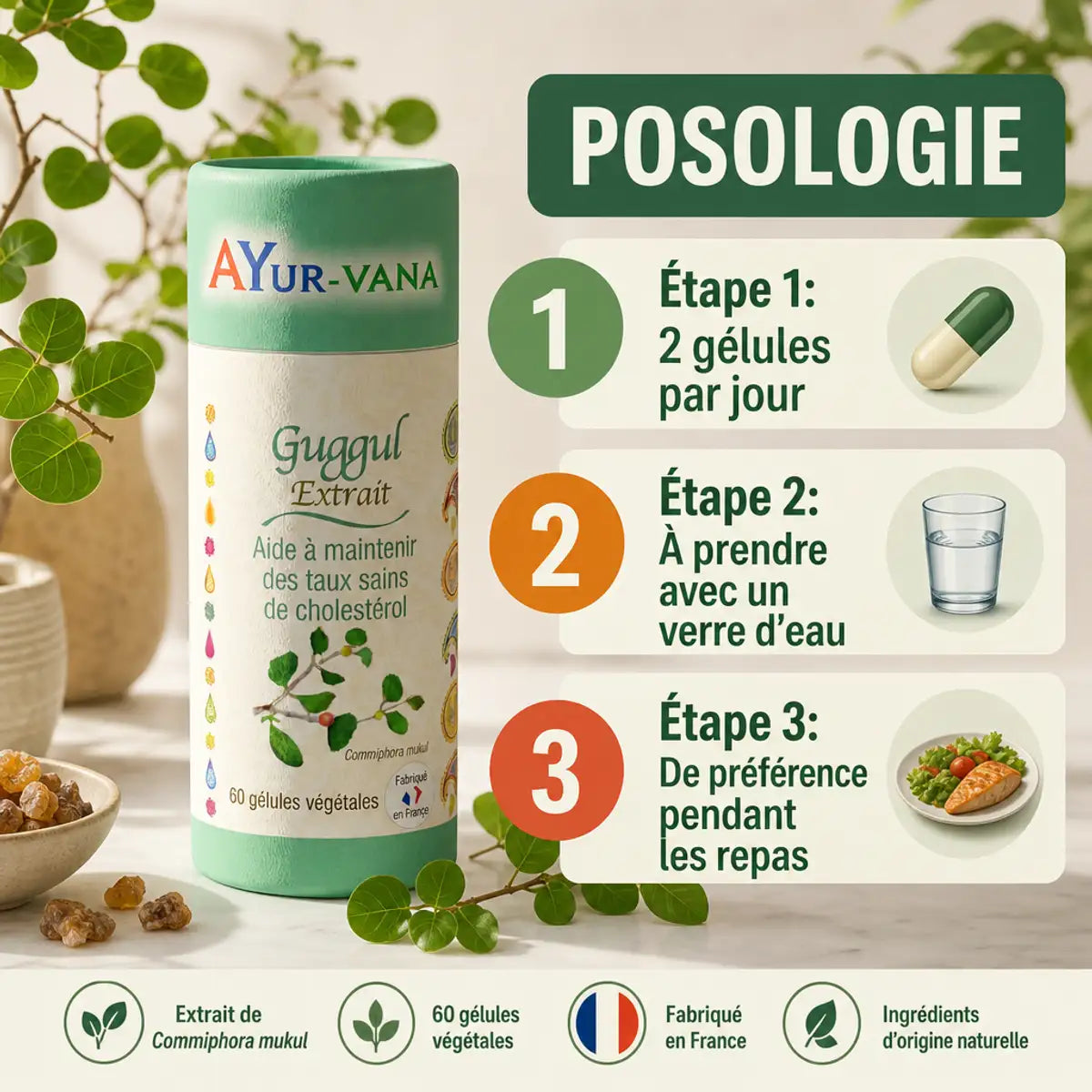 Extrait de Guggul vegan Ayur-Vana en gélules avec posologie - 2 gélules par jour