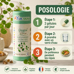 Extrait de Guggul vegan Ayur-Vana en gélules avec posologie - 2 gélules par jour