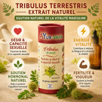 AyurVana Tribulus Terrestris vegan en gélules avec ses 4 bénéfices : désir sexuel, énergie, hormones, fertilité