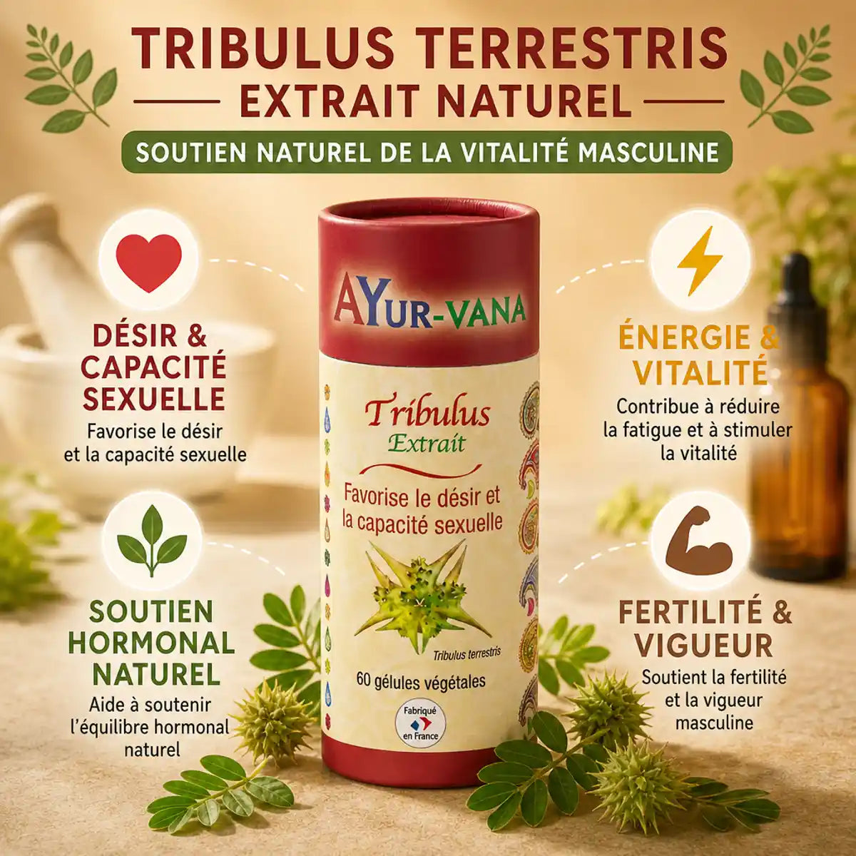 AyurVana Tribulus Terrestris vegan en gélules avec ses 4 bénéfices : désir sexuel, énergie, hormones, fertilité