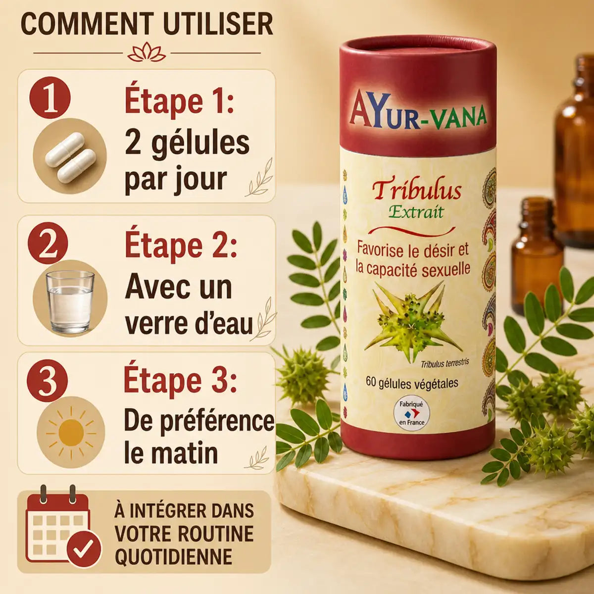 Gélules Tribulus Terrestris vegan AyurVana avec instructions dosage 2 gélules par jour