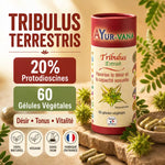 Tribulus Terrestris AyurVana 60 gélules végétales avec plante et capsules, 20% Protodioscines