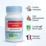 Harpagophytum Bio vegan en gélules avec bénéfices articulaires et anti-inflammatoires naturels