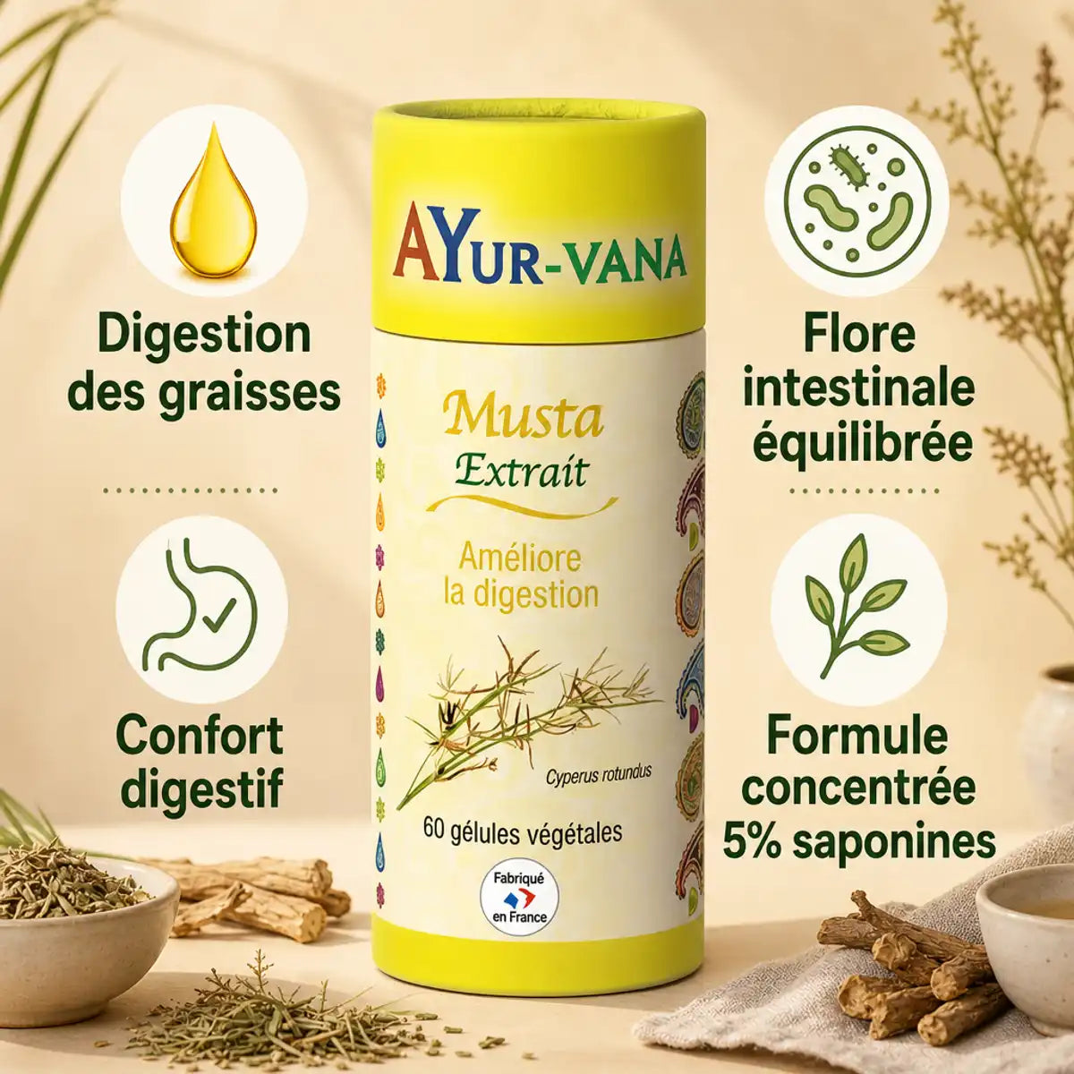 Extrait Musta Ayurvana en gélules avec infographie des bénéfices digestifs et flore intestinale