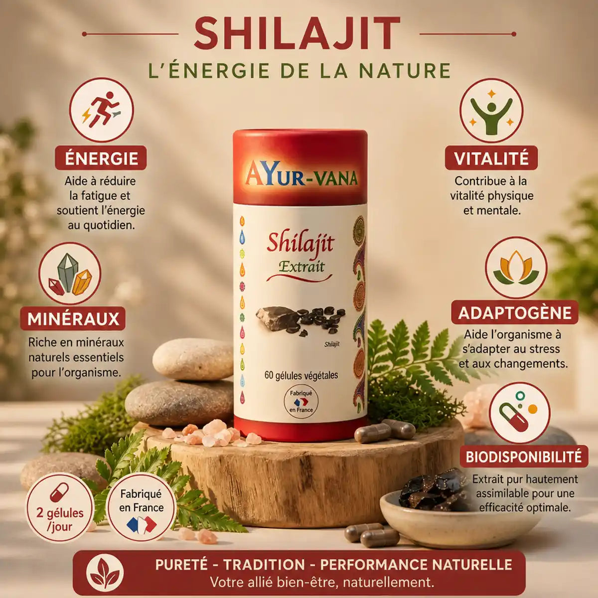 Extrait Shilajit vegan AYurvana 60 gélules avec bénéfices énergie, vitalité et minéraux naturels