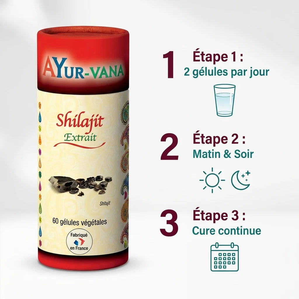 Extrait Shilajit vegan AYurvana en gélules avec guide posologique : 2 gélules matin et soir