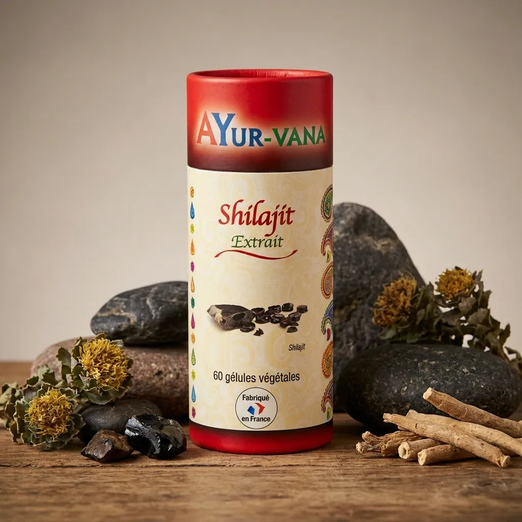 Extrait Shilajit vegan AYurvana en gélules avec herbes himalayennes et pierres naturelles