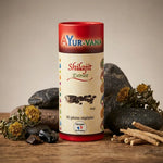 Extrait Shilajit vegan AYurvana en gélules avec herbes himalayennes et pierres naturelles