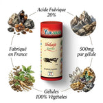 Extrait Shilajit vegan AYurvana en gélules avec acide fulvique 20%, fabriqué en France