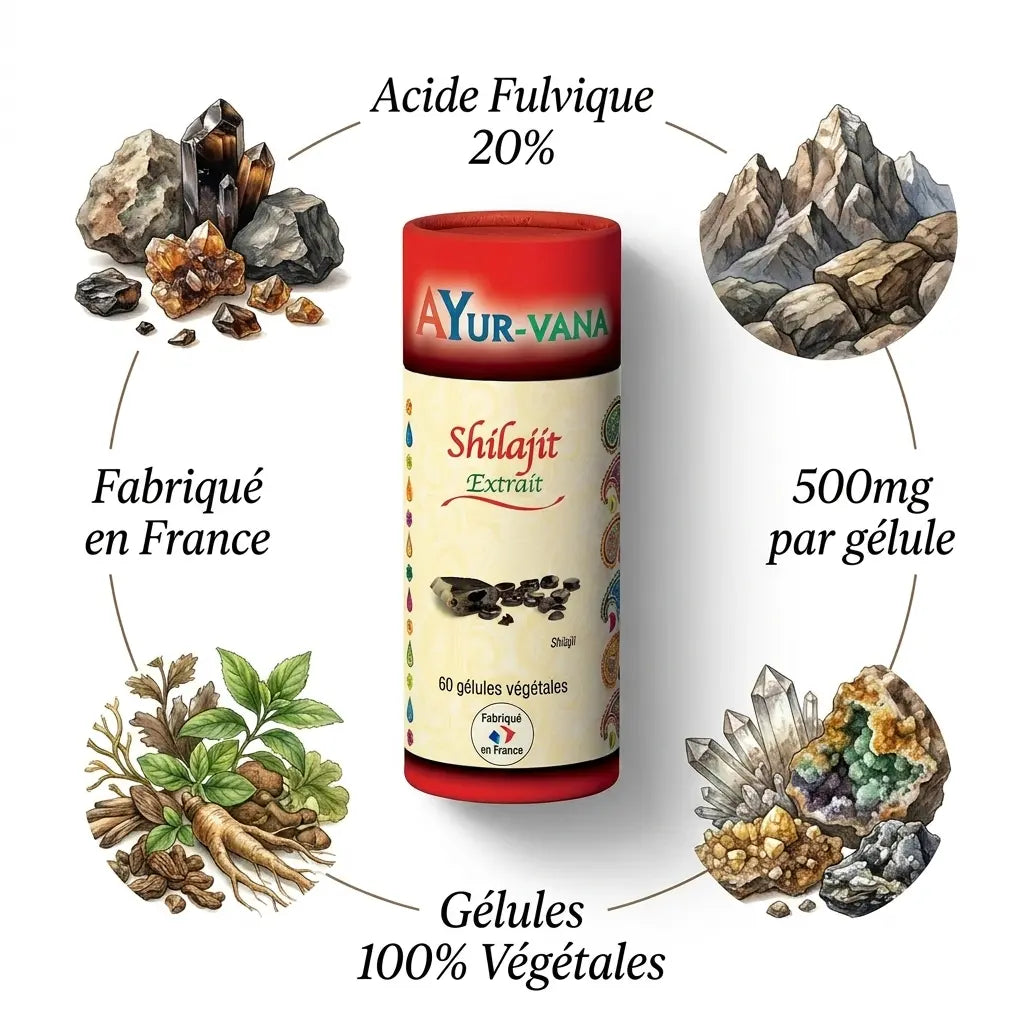 Extrait Shilajit vegan AYurvana en gélules avec acide fulvique 20%, fabriqué en France