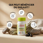 Gélules Shilajit vegan Graine Sauvage avec personas cibles : sportifs, professionnels, seniors, étudiants, voyageurs