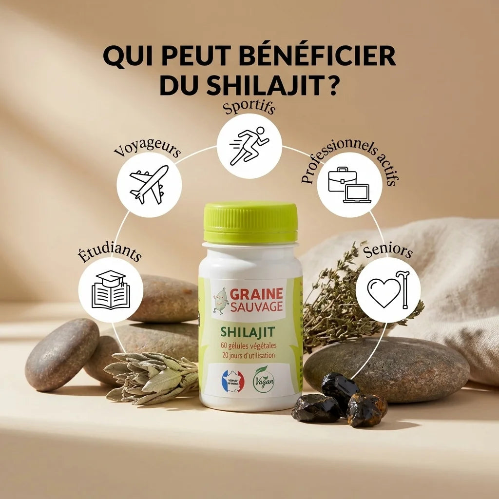 Gélules Shilajit vegan Graine Sauvage avec personas cibles : sportifs, professionnels, seniors, étudiants, voyageurs