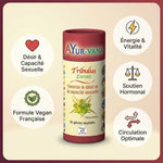 Tribulus extrait vegan Ayurvana en gélules avec bénéfices : énergie, désir sexuel, soutien hormonal
