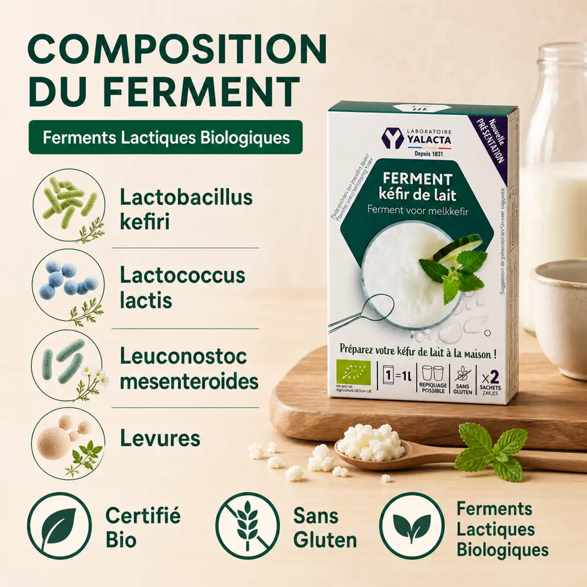 Sachets ferment kéfir lait bio Yalacta avec composition lactobacilles et levures certifiées