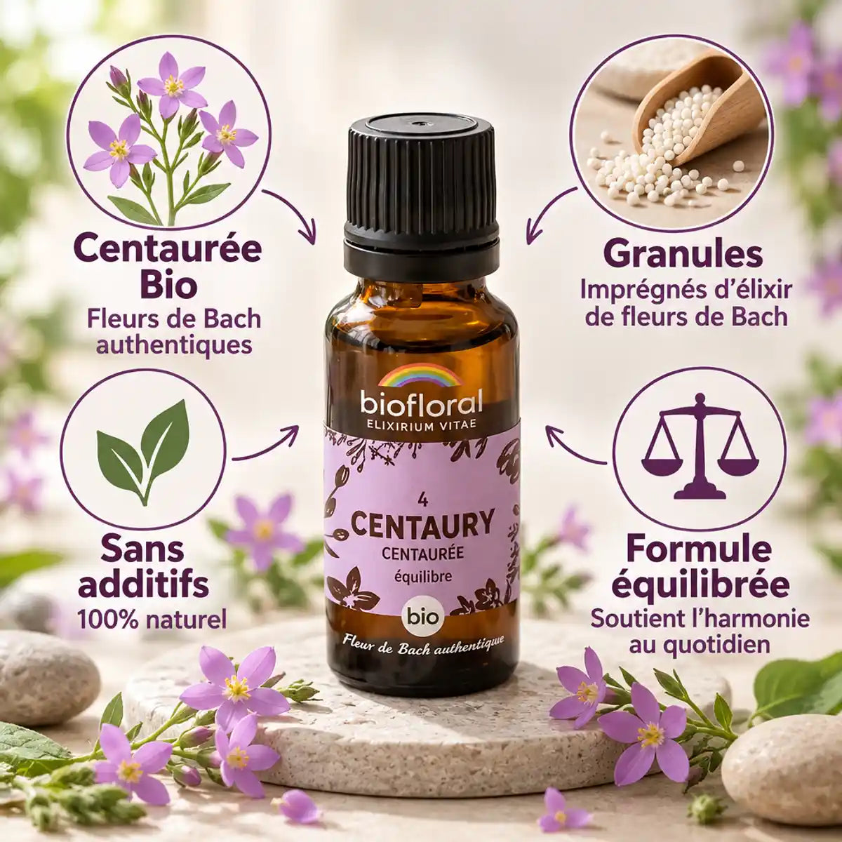 Fleur de Bach Centaurée bio en granules Biofloral avec infographie des bénéfices et fleurs pourpres