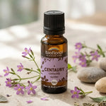 Fleur de Bach Centaury Biofloral en granules 19,5g avec fleurs violettes et pierres pour l'équilibre émotionnel
