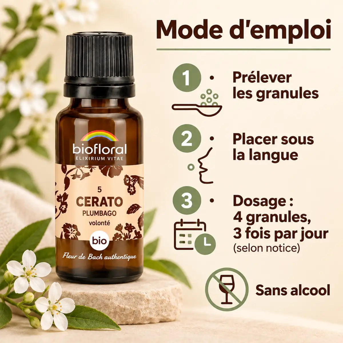 Flacon Fleur de Bach Cerato (Plumbago) Bio en granules Biofloral 19,5 g, avec mode d'emploi en 3 étapes