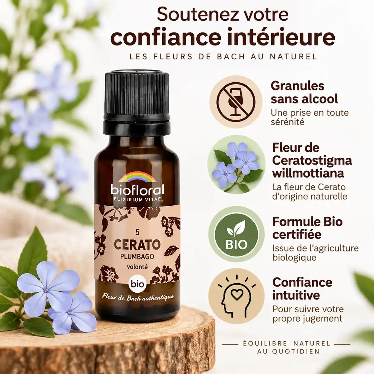 Fleur de Bach Cerato Biofloral en granules avec infographie des ingrédients bio et bénéfices