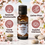 Fleur de Bach Cherry Plum bio Biofloral 19,5g en granules pour sérénité émotionnelle et clarté mentale