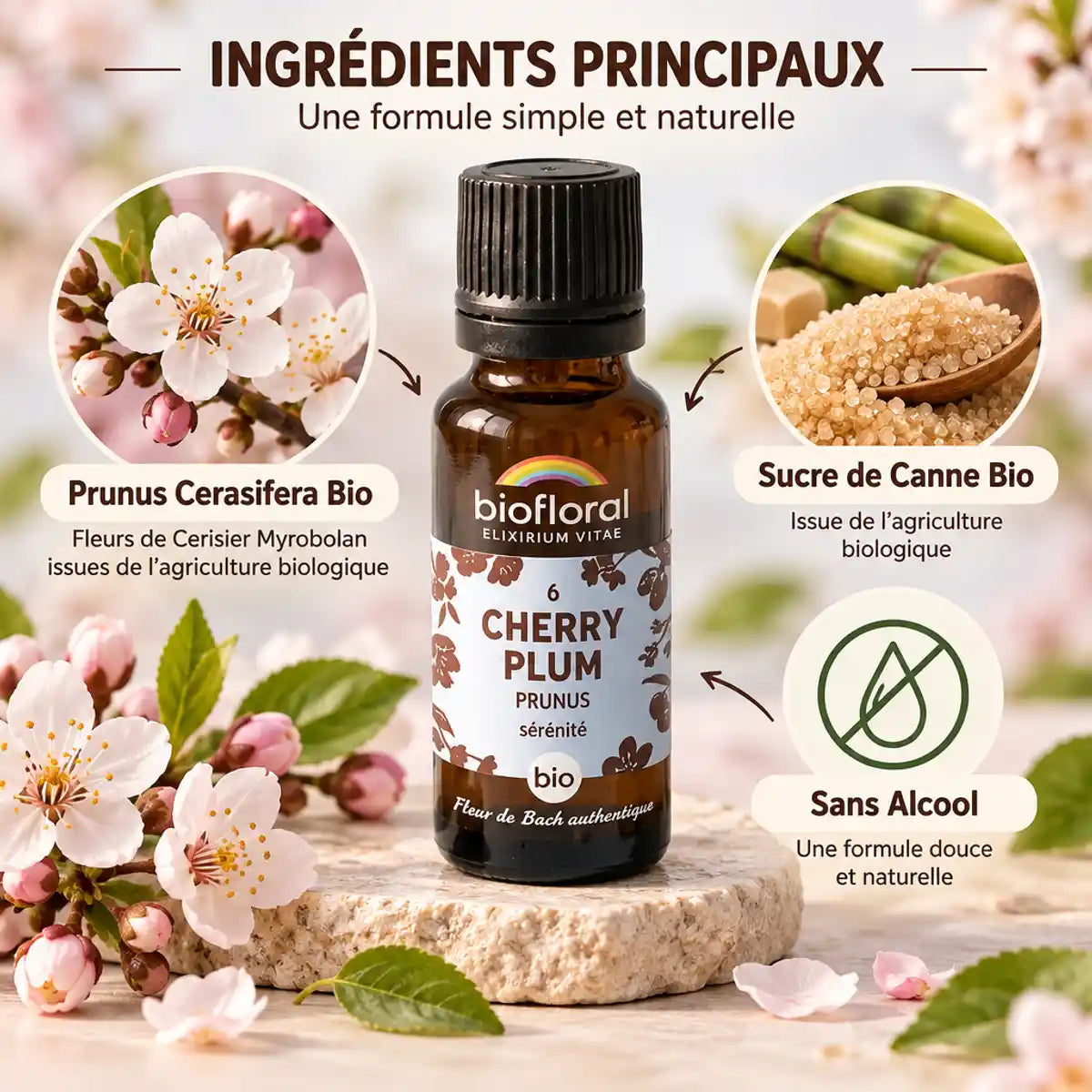 Fleur de Bach Cherry Plum Bio Biofloral en granules avec ingrédients principaux et composition