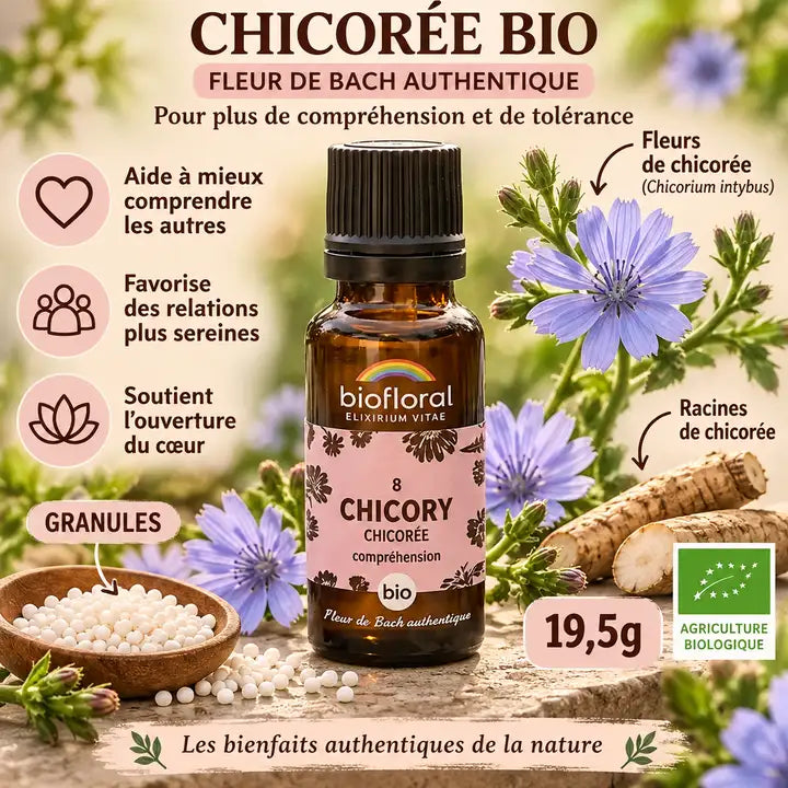 Fleur de Bach Chicory bio granules 19,5g Biofloral avec fleurs fraîches et ingrédients naturels