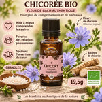Fleur de Bach Chicory bio granules 19,5g Biofloral avec fleurs fraîches et ingrédients naturels