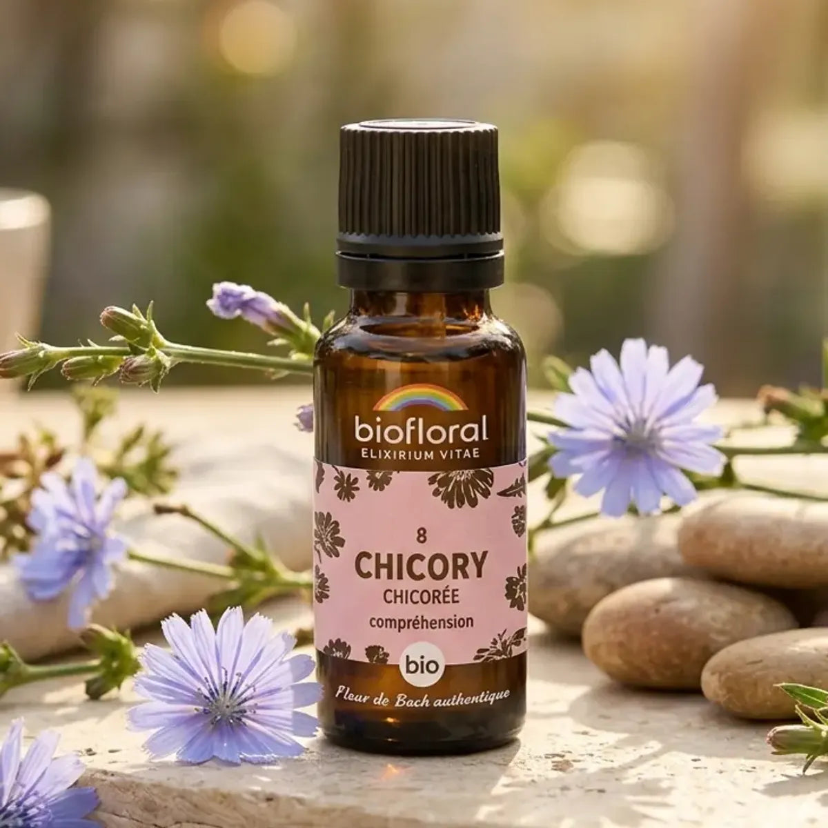 Fleurs de Bach Chicory Bio Biofloral granules 19,5g bouteille verre ambré avec fleurs chicorée