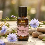 Fleurs de Bach Chicory Bio Biofloral granules 19,5g bouteille verre ambré avec fleurs chicorée