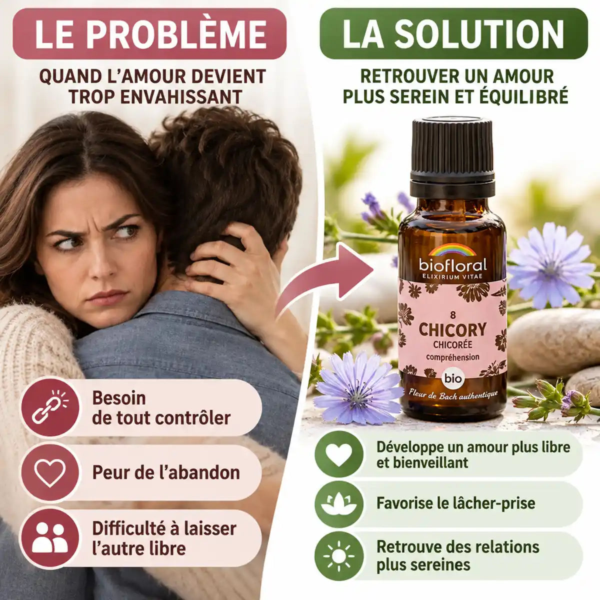Fleur de Bach Chicory Biofloral bio en granules contre la possessivité et le contrôle émotionnel