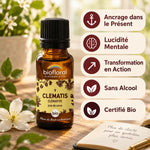 Fleur de Bach Clematis Bio Biofloral en granules avec bénéfices : ancrage, lucidité mentale et transformation