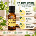 Fleur de Bach Clematis granules Biofloral avec instructions de dosage sur fond bois et carnet