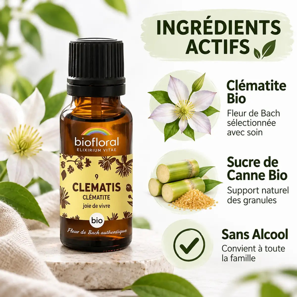 Fleurs de Bach Clematis Bio granules 19,5g Biofloral avec ingrédients et composition