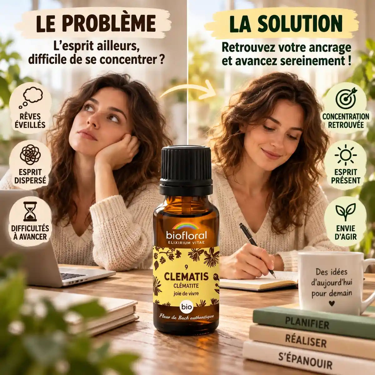 Fleur de Bach Clematis Bio Biofloral - avant après manque concentration focus productivité