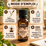 Flacon en verre ambré de Fleur de Bach Gentiane Bio Biofloral avec mode d'emploi en 4 étapes sur fond de bois

Hmm, let me check length: roughly 120 characters. Fine.
