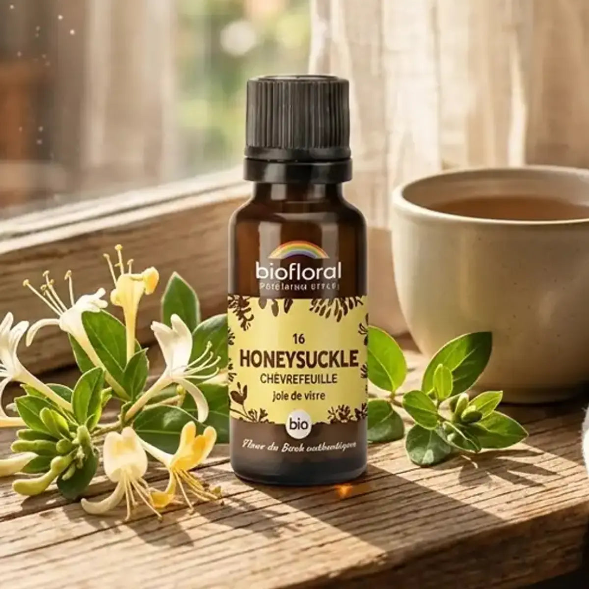Flacon compte-gouttes ambré Fleur de Bach Honeysuckle Chevrefeuille Biofloral sur un rebord de fenêtre avec tasse de thé