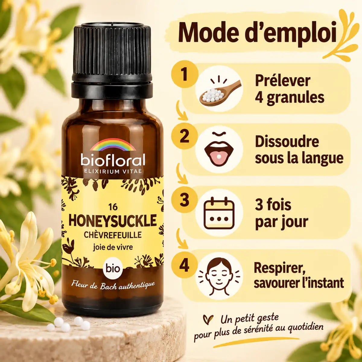 Fleur de Bach Chèvrefeuille bio en granules Biofloral avec mode d'emploi en 4 étapes sur fond crème
