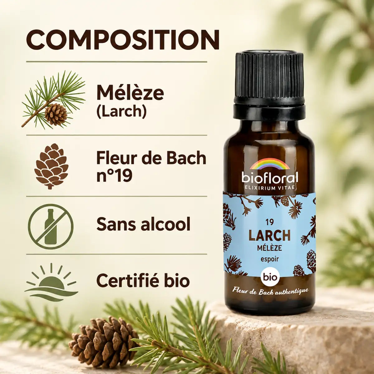 Fleur de Bach Larch Mélèze bio en granules Biofloral 19,5 g, flacon ambré et infographie des ingredients