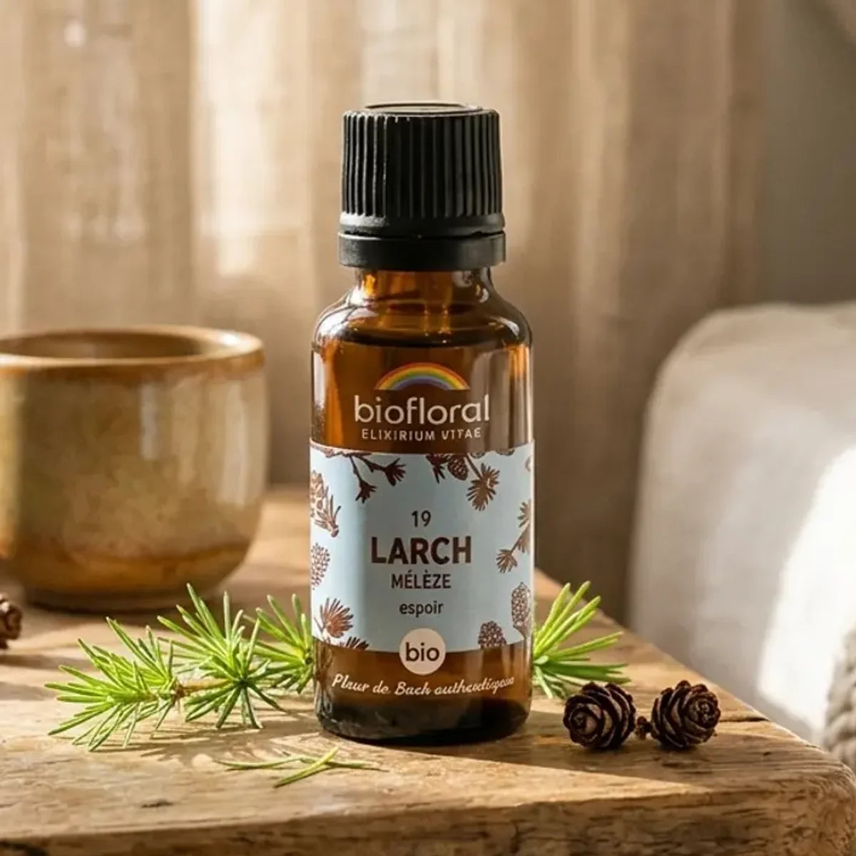 Flacon compte-gouttes ambré de fleur de Bach Larch (Mélèze) Bio en granules, posé sur une table de chevet lumineuse avec branches de mélèze