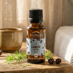 Flacon compte-gouttes ambré de fleur de Bach Larch (Mélèze) Bio en granules, posé sur une table de chevet lumineuse avec branches de mélèze