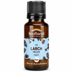 Flacon compte-gouttes ambré de Fleur de Bach Larch (Mélèze) Bio en granules 19,5 g, Biofloral, sur fond blanc