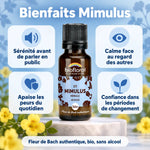 Flacon Fleur de Bach Mimulus Biofloral bio en granules, avec cartes bienfaits : sérénité, calme et confiance (sans alcool)